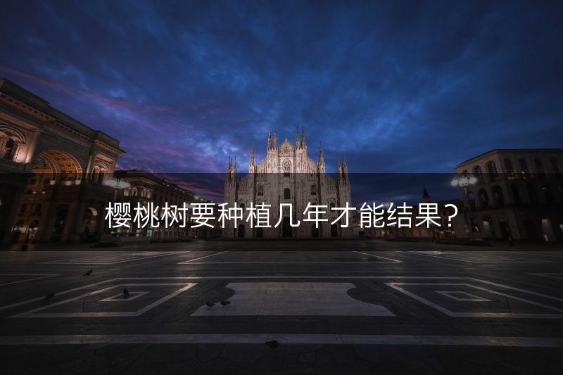 樱桃树要种植几年才能结果？(图1)