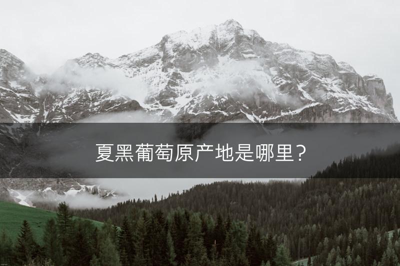 夏黑葡萄原产地是哪里？(图1)