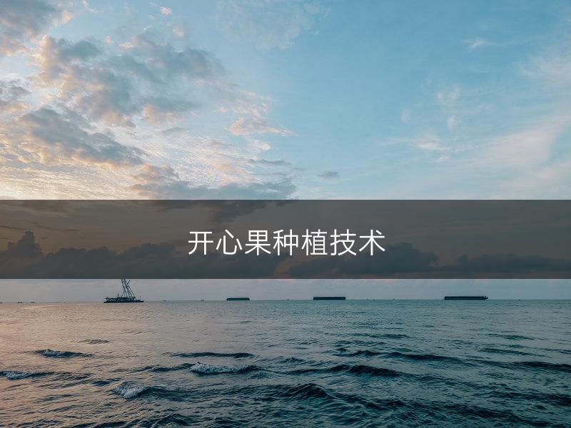 开心果种植技术(图1)