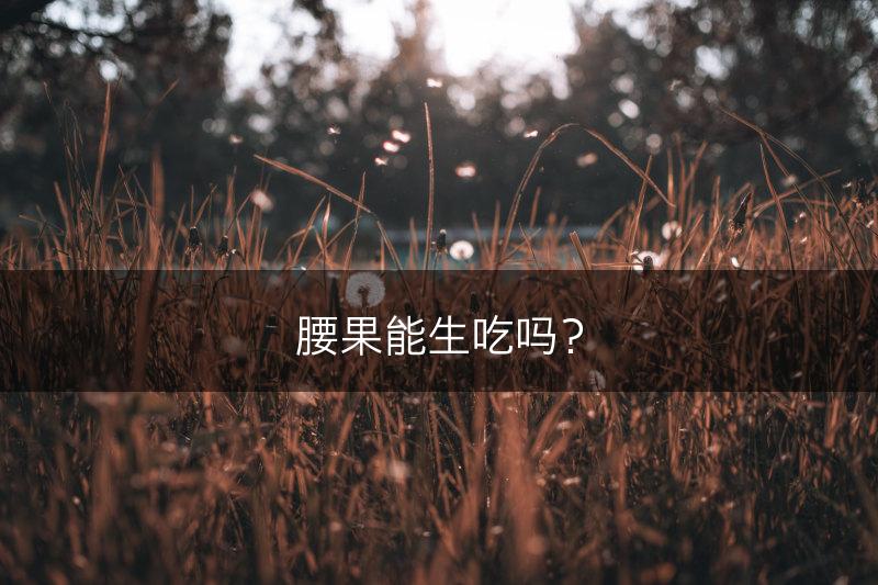 腰果能生吃吗？(图1)