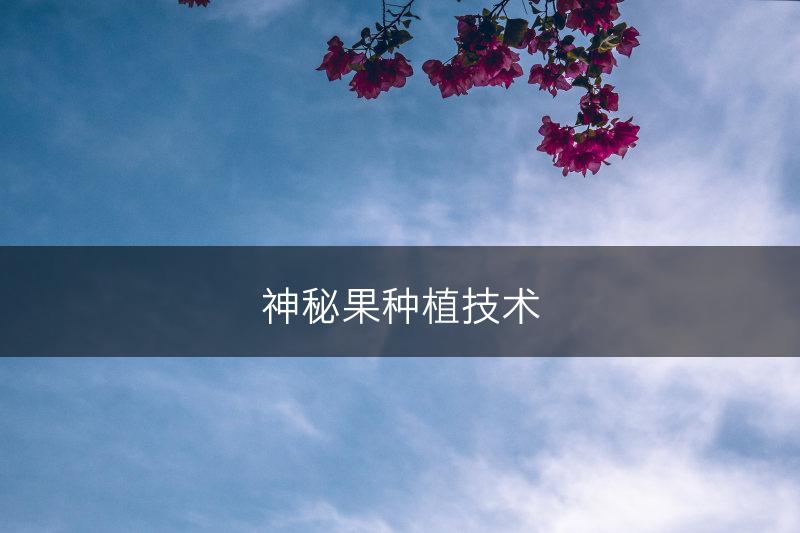 神秘果种植技术(图1)