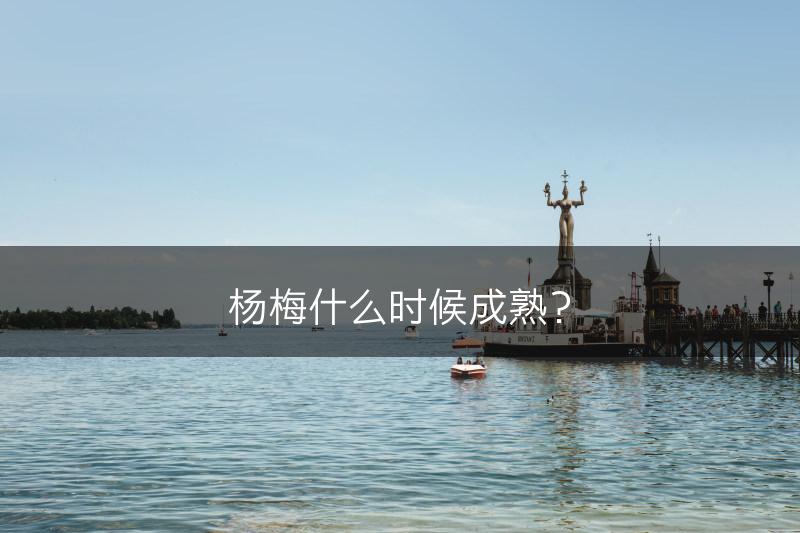杨梅什么时候成熟？(图1)