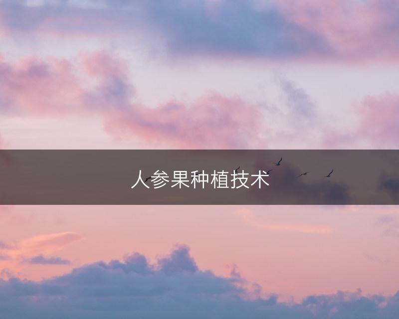 人参果种植技术(图1)