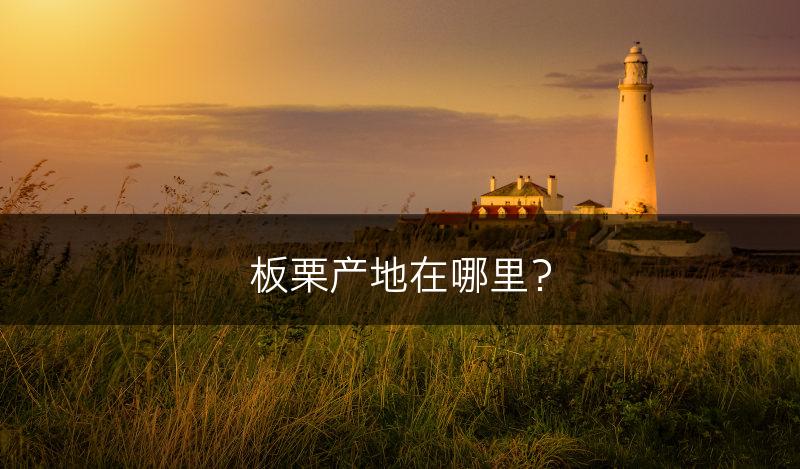 板栗产地在哪里？(图1)