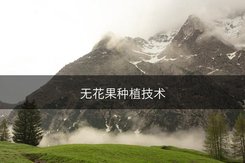 无花果种植技术(图1)