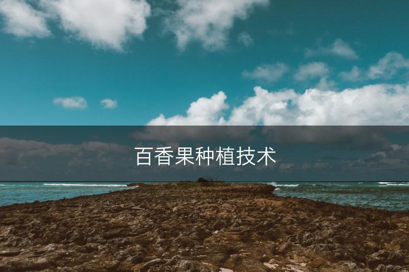 百香果种植技术(图1)