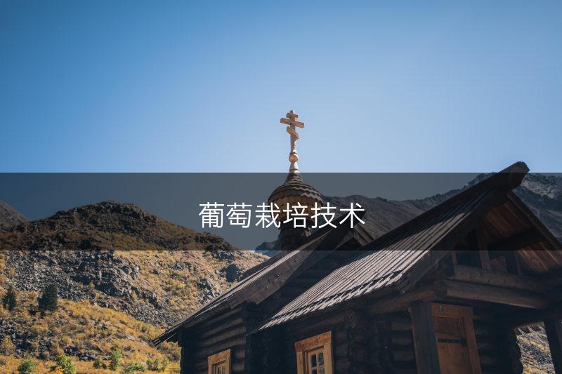 葡萄栽培技术(图1)