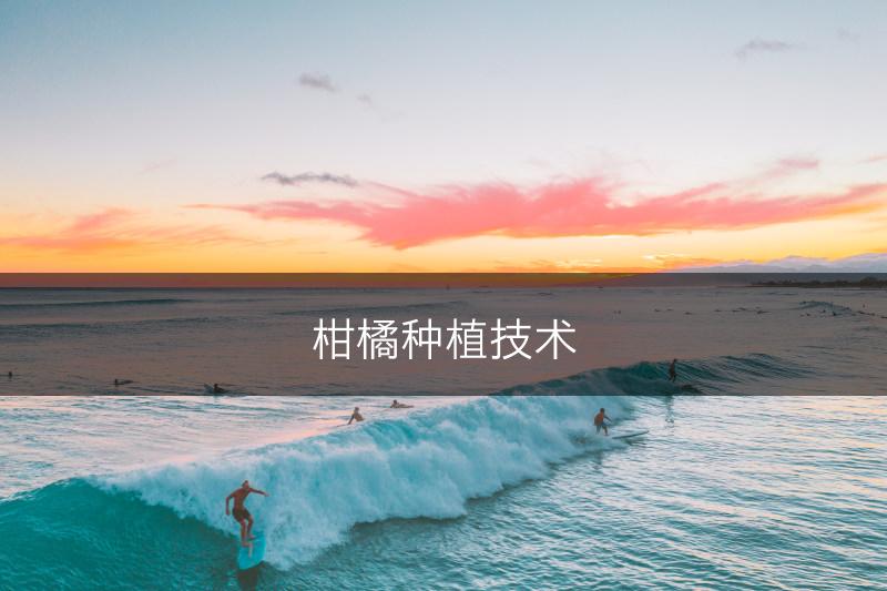 柑橘种植技术(图1)
