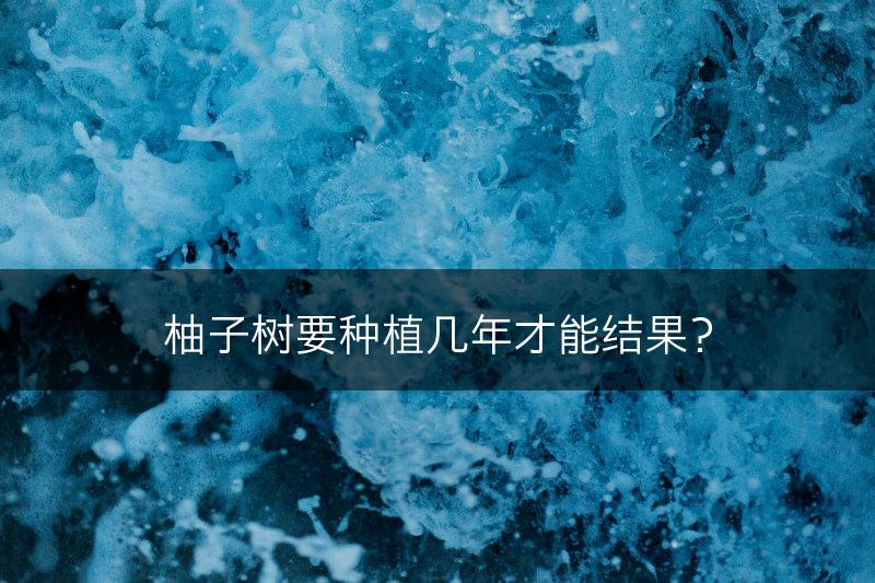 柚子树要种植几年才能结果？(图1)