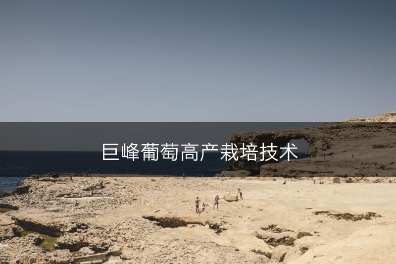 巨峰葡萄高产栽培技术(图1)