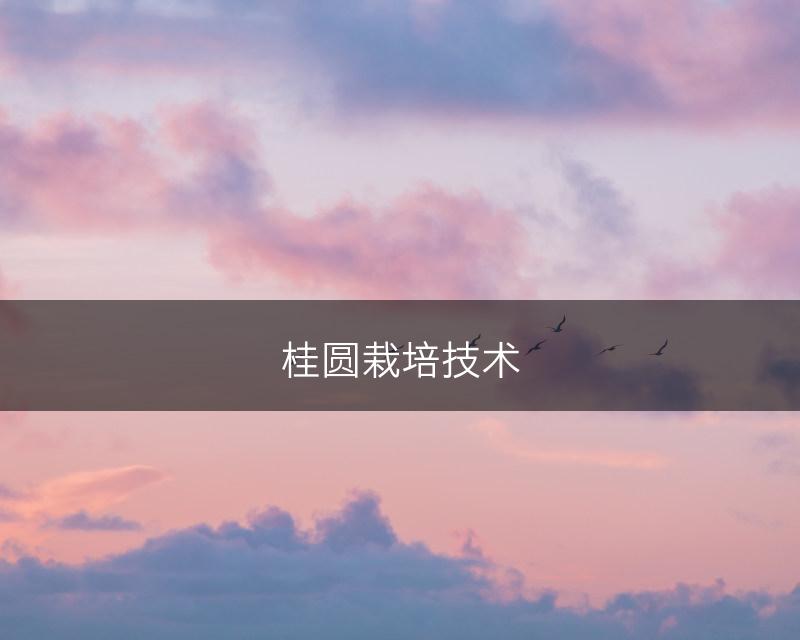 桂圆栽培技术(图1)