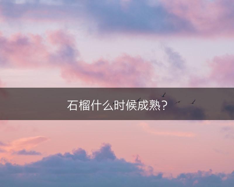 石榴什么时候成熟？(图1)