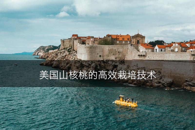 美国山核桃的高效栽培技术(图1)