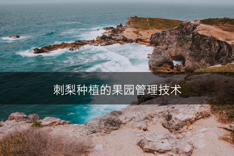 刺梨种植的果园管理技术(图1)