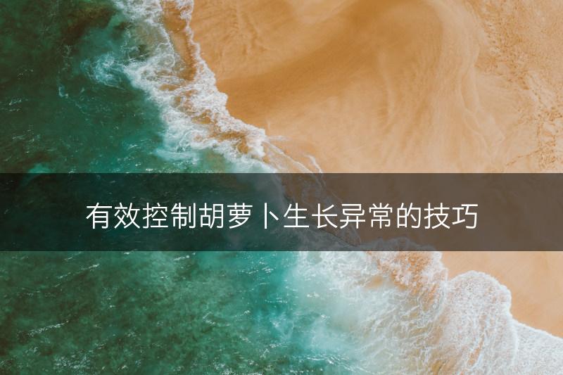 有效控制胡萝卜生长异常的技巧(图1)