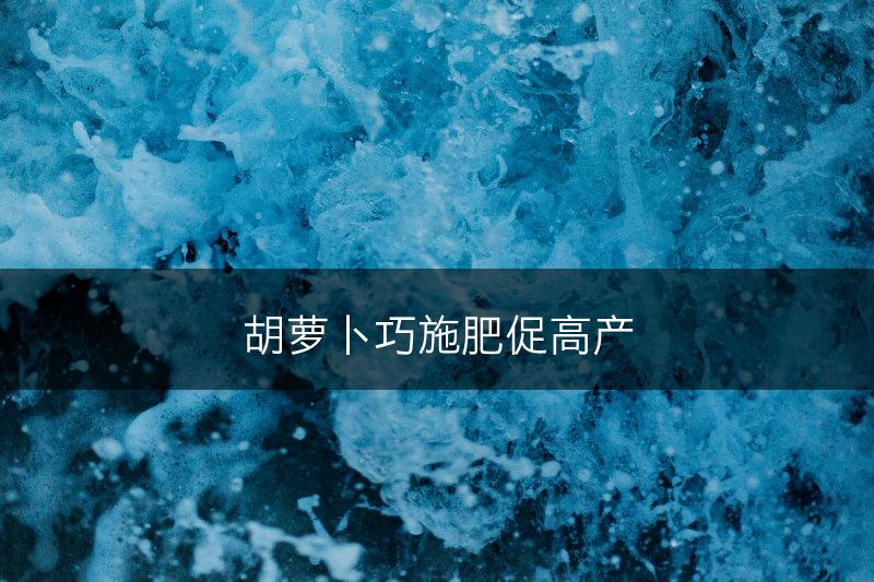 胡萝卜巧施肥促高产(图1)