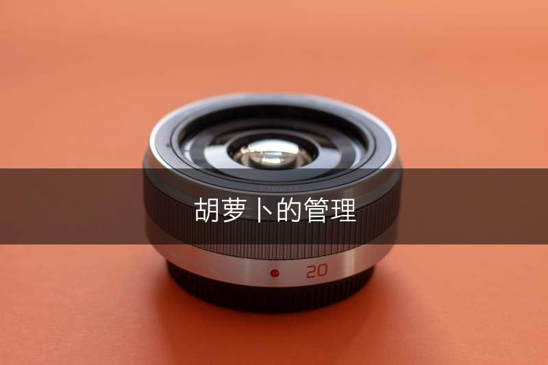 胡萝卜的管理(图1)