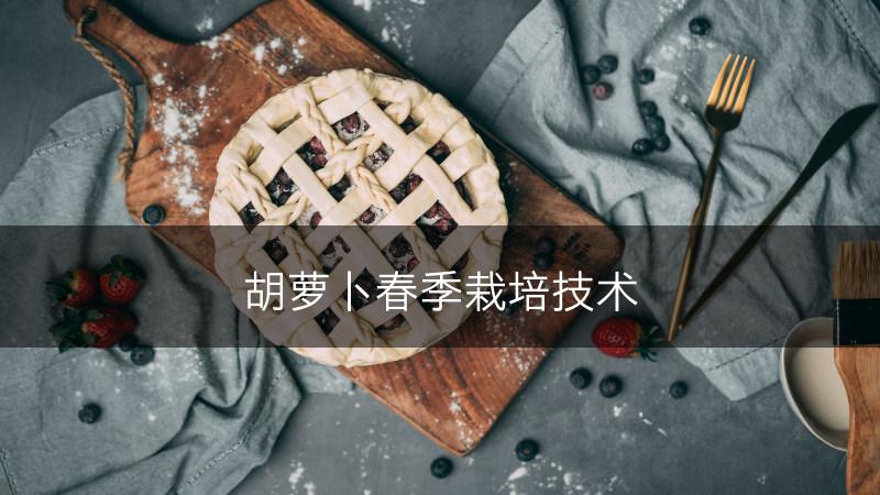胡萝卜春季栽培技术(图1)