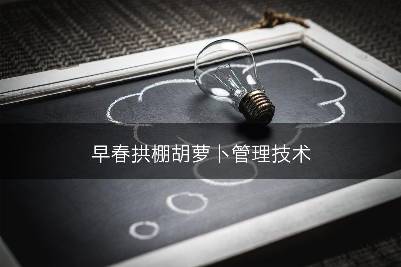 早春拱棚胡萝卜管理技术(图1)