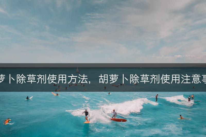 胡萝卜除草剂使用方法，胡萝卜除草剂使用注意事项(图1)