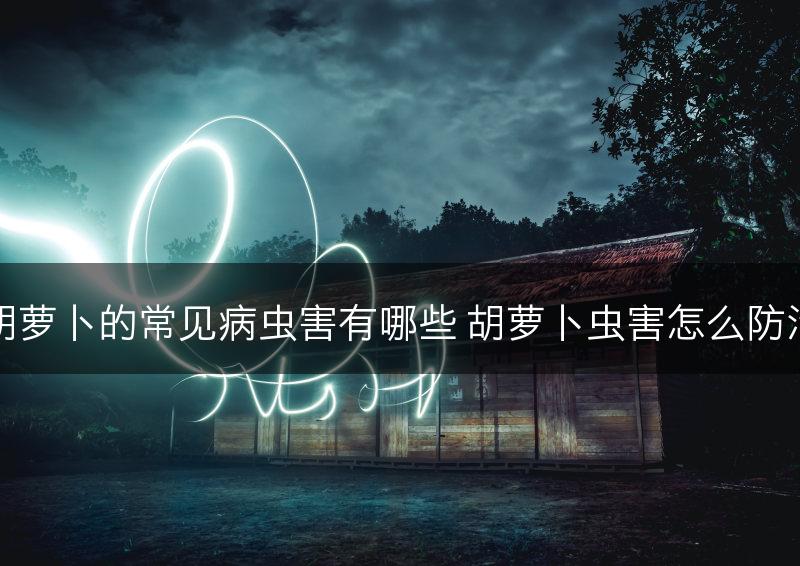 胡萝卜的常见病虫害有哪些 胡萝卜虫害怎么防治(图1)