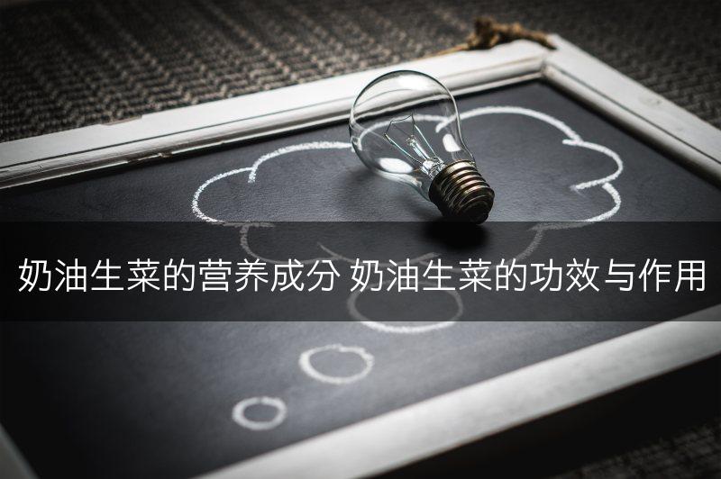 奶油生菜的营养成分 奶油生菜的功效与作用(图1)