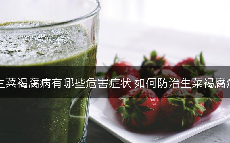 生菜褐腐病有哪些危害症状 如何防治生菜褐腐病(图1)