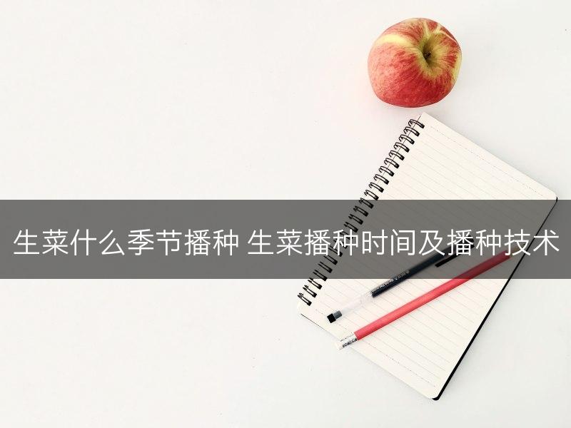 生菜什么季节播种 生菜播种时间及播种技术(图1)