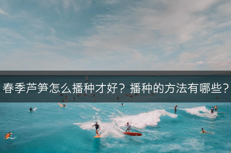 春季芦笋怎么播种才好？播种的方法有哪些？(图1)