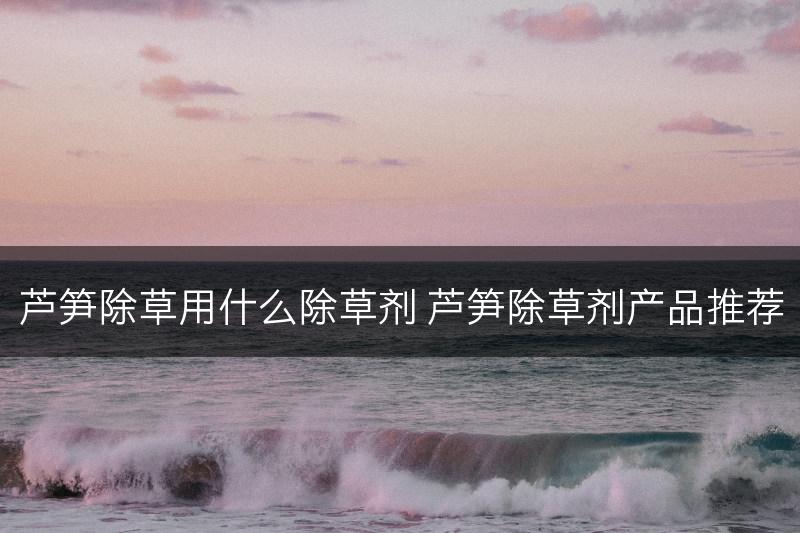芦笋除草用什么除草剂 芦笋除草剂产品推荐(图1)
