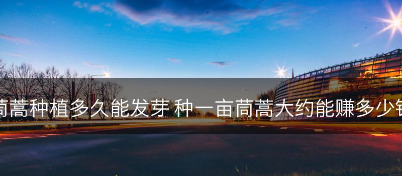 茼蒿种植多久能发芽 种一亩茼蒿大约能赚多少钱(图1)