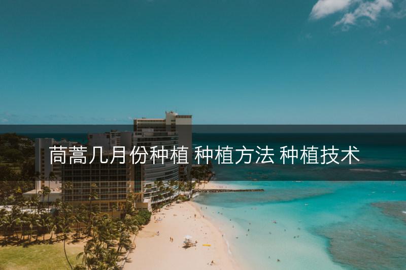 茼蒿几月份种植 种植方法 种植技术(图1)