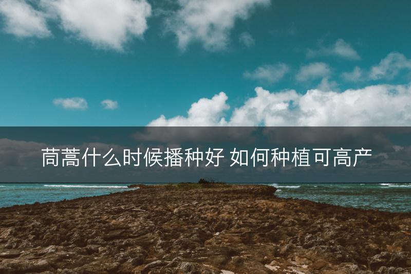 茼蒿什么时候播种好 如何种植可高产(图1)