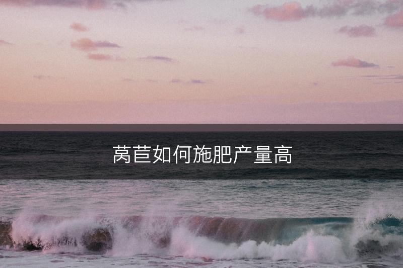 莴苣如何施肥产量高(图1)