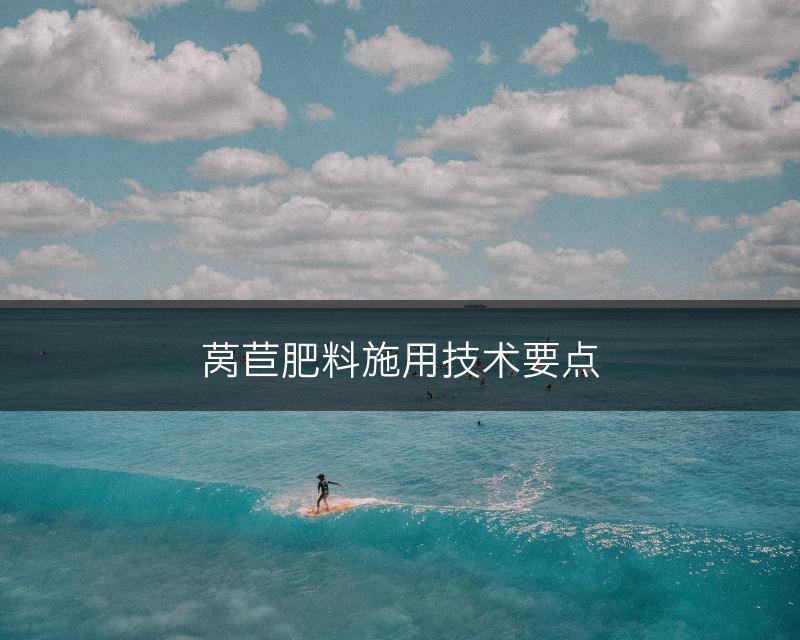 莴苣肥料施用技术要点(图1)