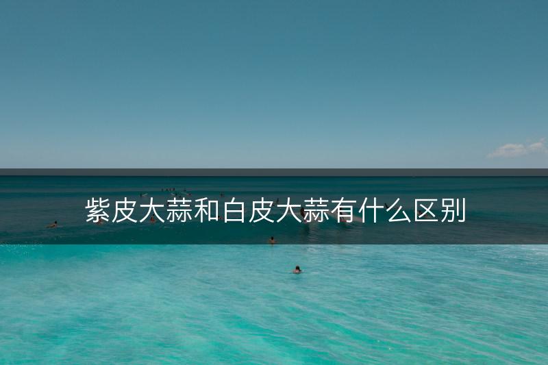 紫皮大蒜和白皮大蒜有什么区别(图1)
