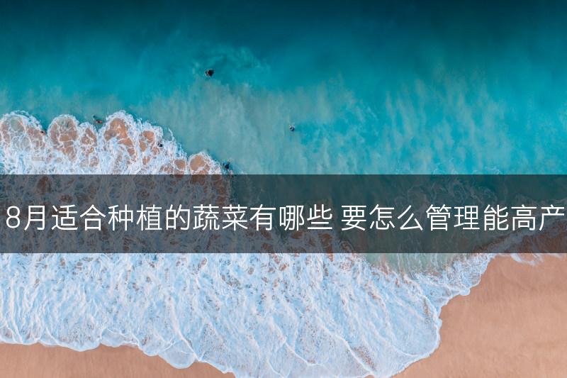 8月适合种植的蔬菜有哪些 要怎么管理能高产(图1)