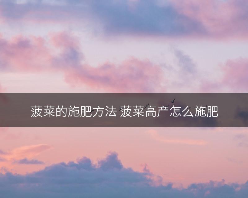 菠菜的施肥方法 菠菜高产怎么施肥(图1)