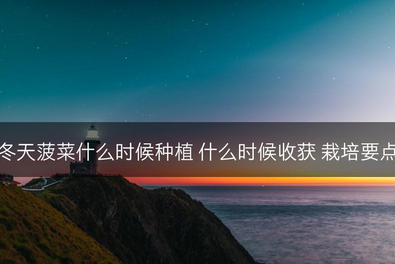 冬天菠菜什么时候种植 什么时候收获 栽培要点(图1)