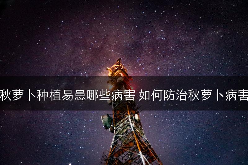 秋萝卜种植易患哪些病害 如何防治秋萝卜病害(图1)