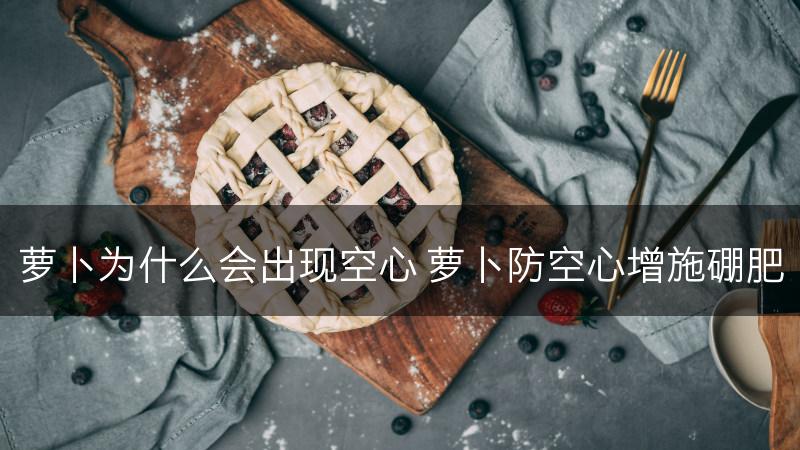 萝卜为什么会出现空心 萝卜防空心增施硼肥(图1)