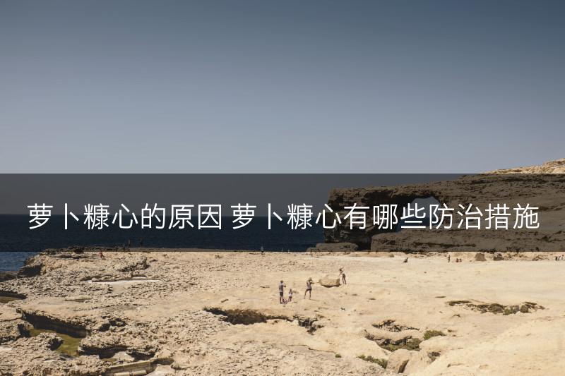 萝卜糠心的原因 萝卜糠心有哪些防治措施(图1)