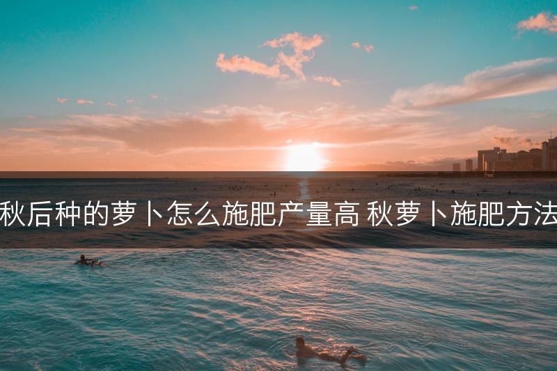 秋后种的萝卜怎么施肥产量高 秋萝卜施肥方法(图1)