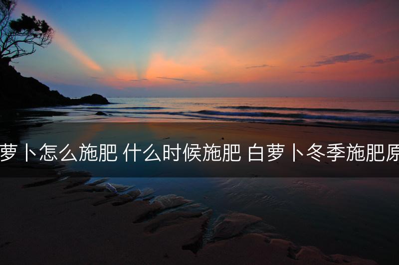 白萝卜怎么施肥 什么时候施肥 白萝卜冬季施肥原则(图1)