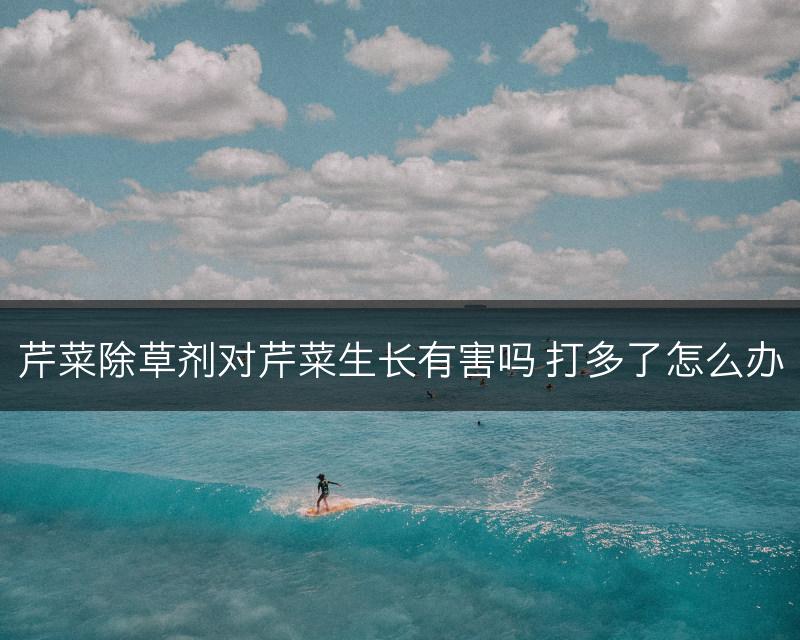 芹菜除草剂对芹菜生长有害吗 打多了怎么办(图1)