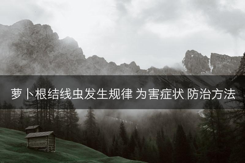 萝卜根结线虫发生规律 为害症状 防治方法(图1)