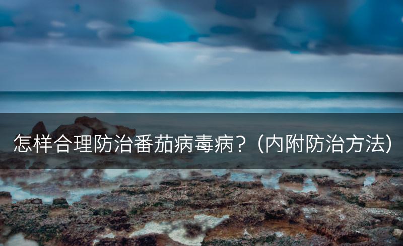 怎样合理防治番茄病毒病？（内附防治方法）(图1)
