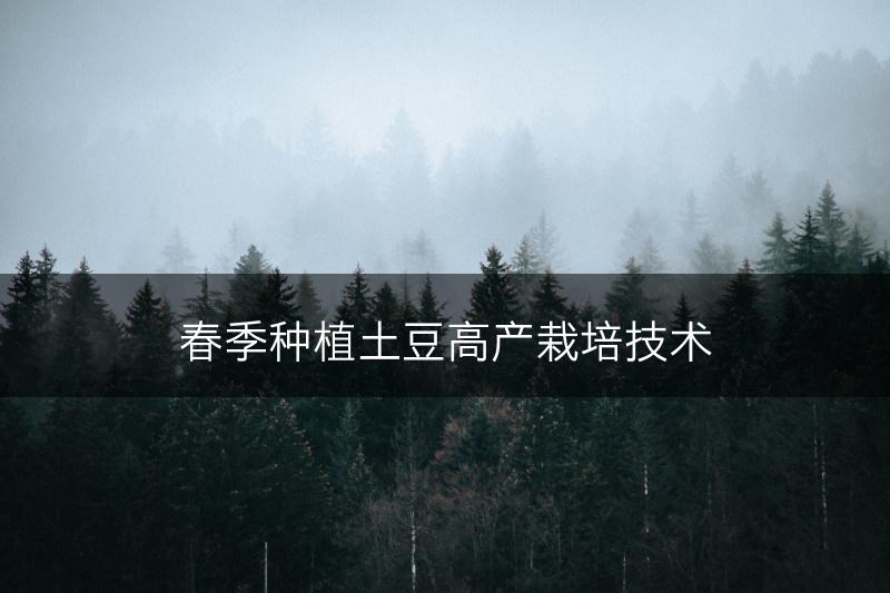 春季种植土豆高产栽培技术(图1)