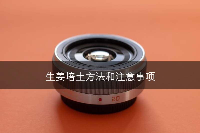 生姜培土方法和注意事项(图1)