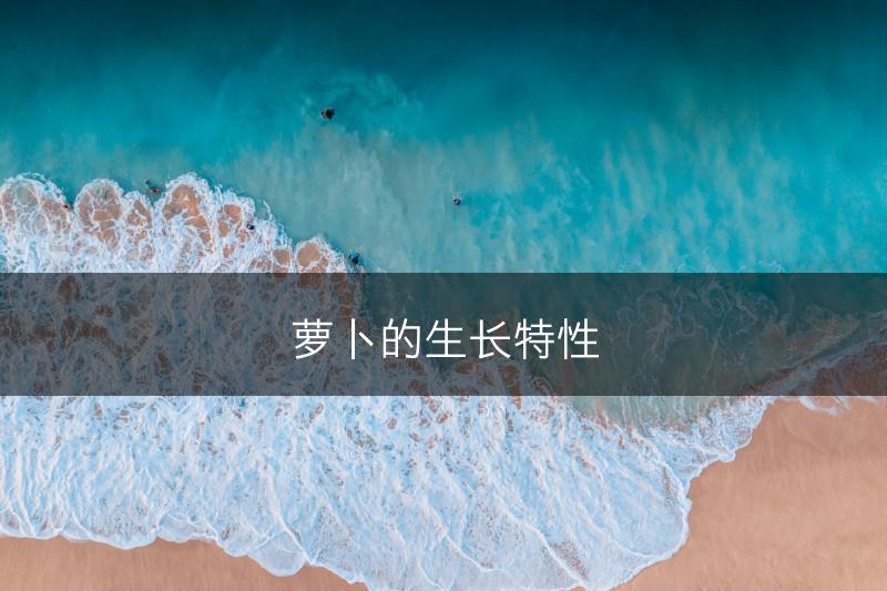 萝卜的生长特性(图1)